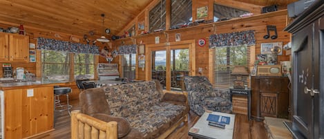 TV, fireplace, video games, DVD player