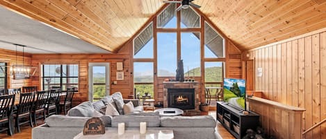 Televisión, chimenea, videojuegos y reproductor de DVD