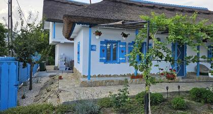 Cozy 2-bedroom traditional cottage in the charming Danube Delta