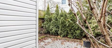 Small back yard