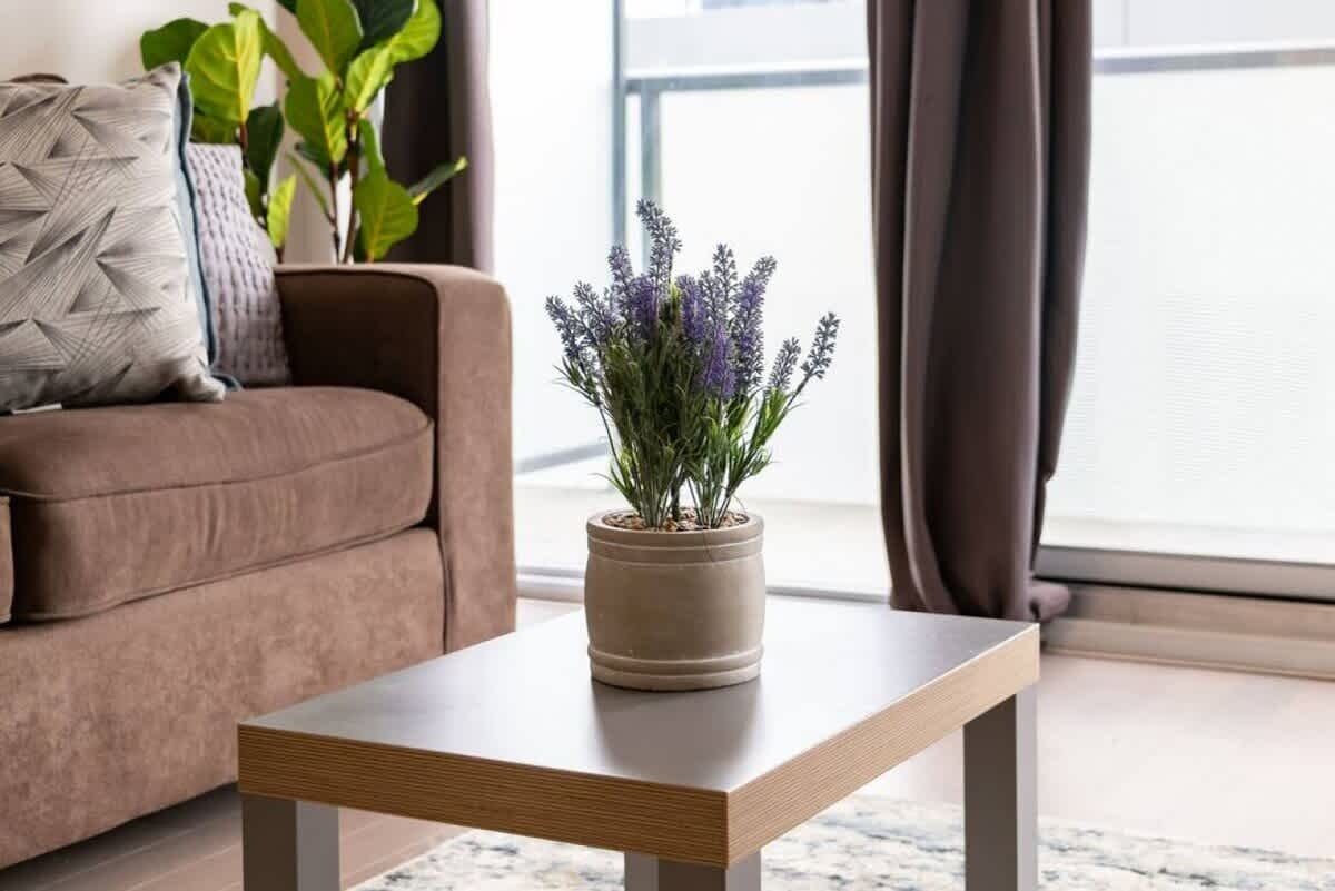 Living room accent