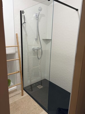 Ducha, toallas, jabón y papel higiénico