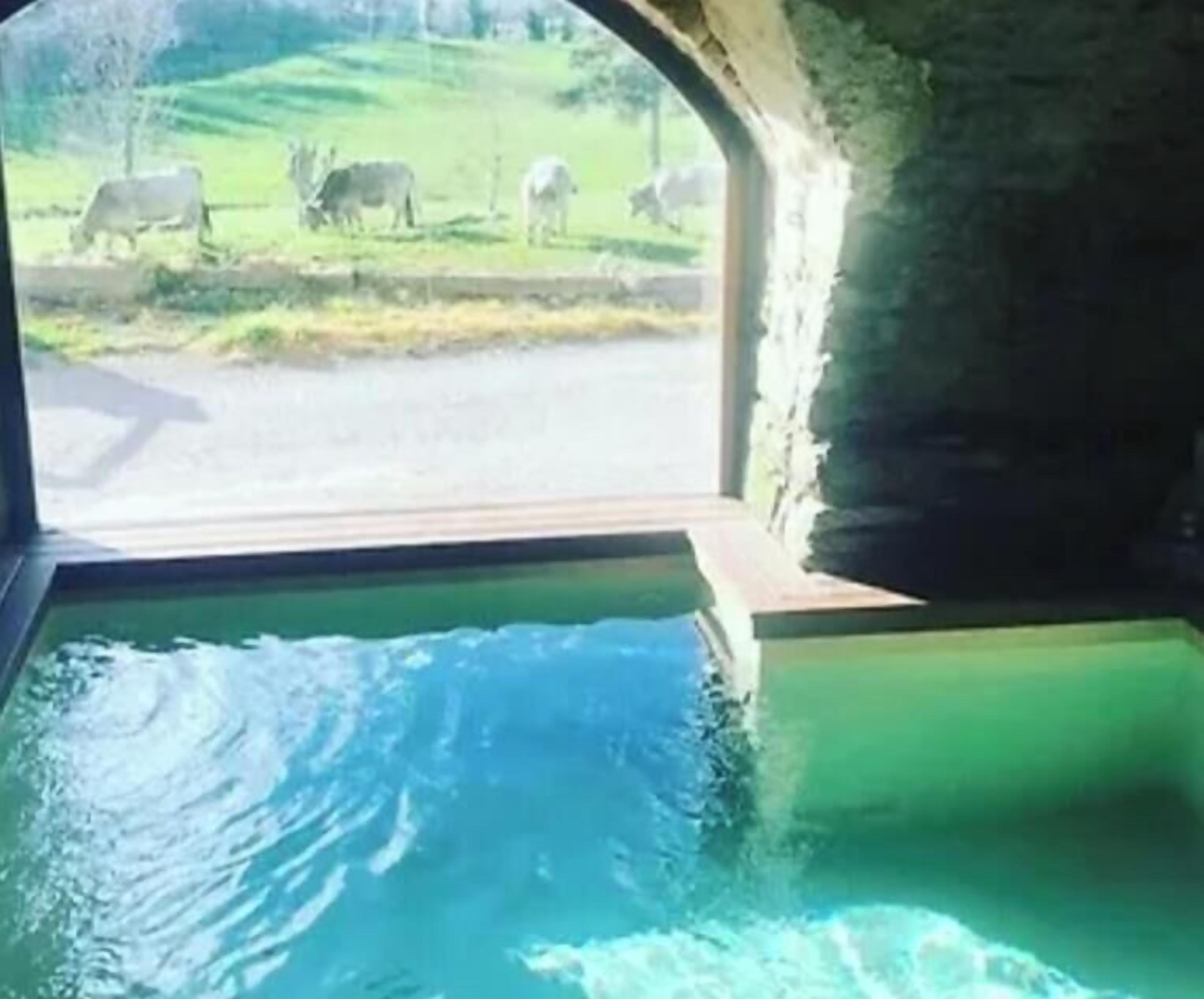 Indoor pool, outdoor pool