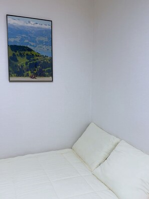 Basic Double Room, 1 Queen Bed, Non Smoking, City View - Spring garden Inn (Gumi)