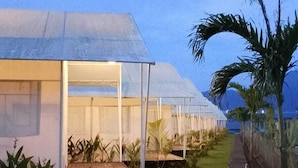 A row of white, semi-transparent greenhouse-style structures with a flat roof, surrounded by grass and small plants. - Ohara Glamping (Kintamani)