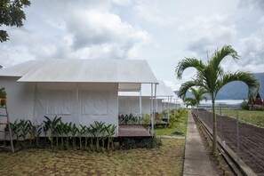 Immagine non classificata, 2 di 7, pulsante