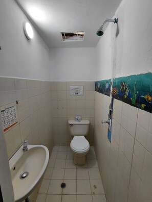 Serviettes fournies, savon, papier toilette