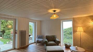 Televisión y chimenea