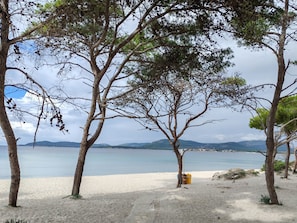 A beach with trees and a clear view of the sea.