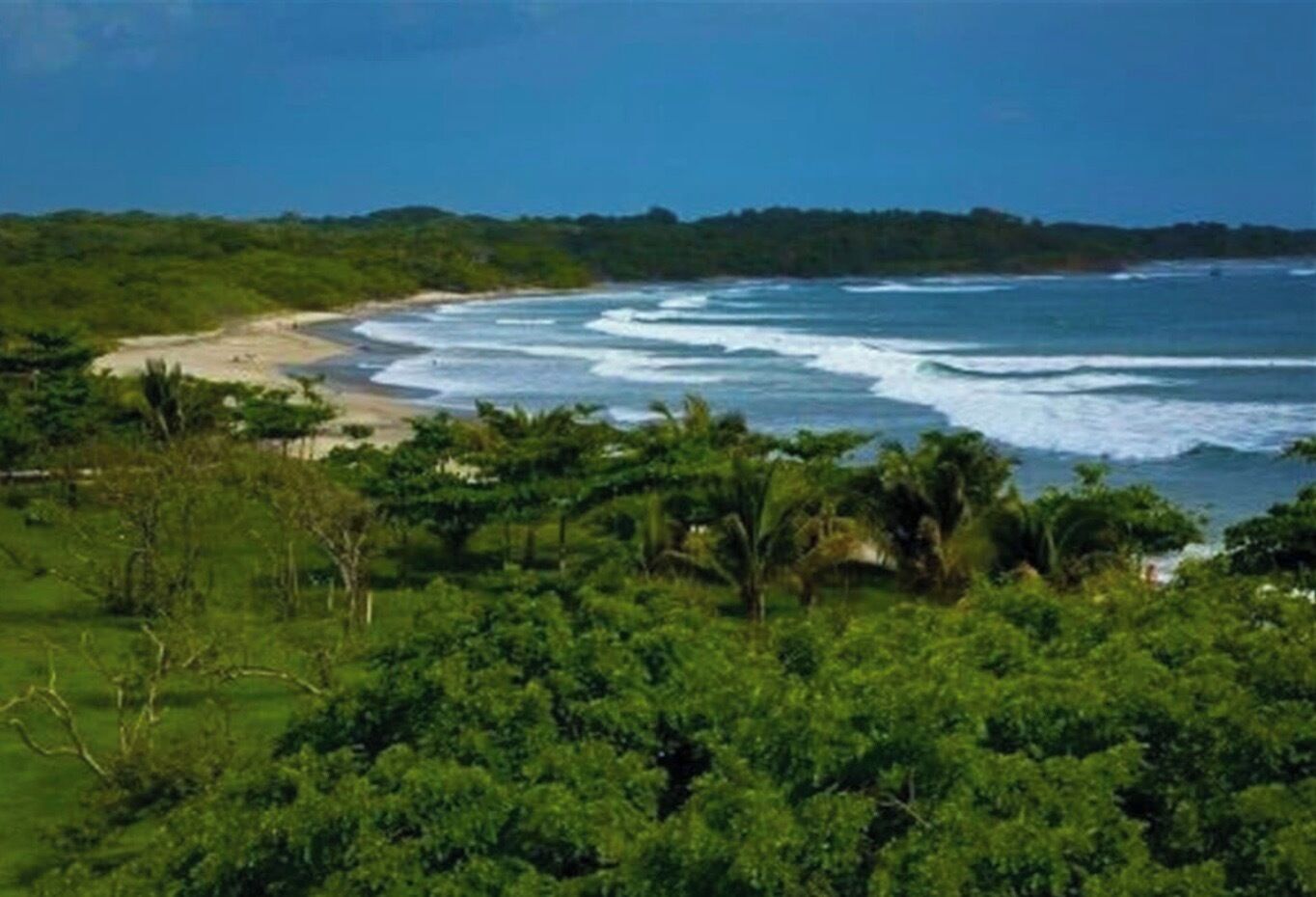 A coastal landscape with a beach, greenery, and ocean waves.