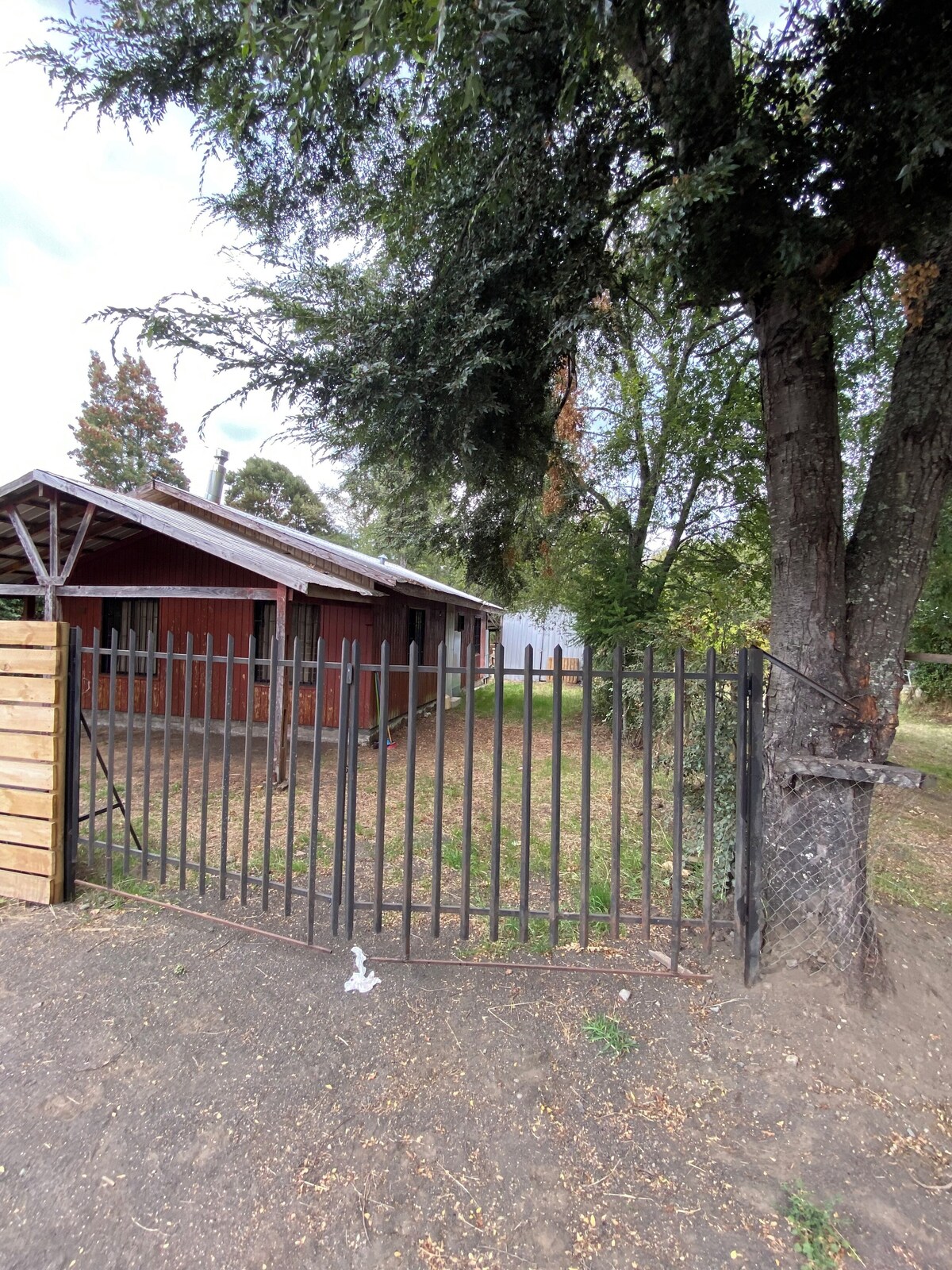 Imagen de perfil del propietario o de la propietaria