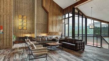 TV, fireplace, video games, DVD player