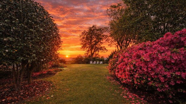 Un sentier de jardin menant à un point de vue où l’on peut admirer le coucher du soleil, avec des arbres et des arbustes en fleurs.