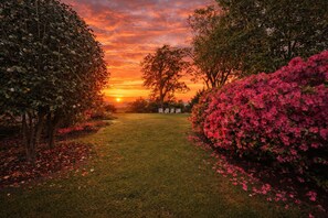 星評価なしの画像、3 / 39、ボタン