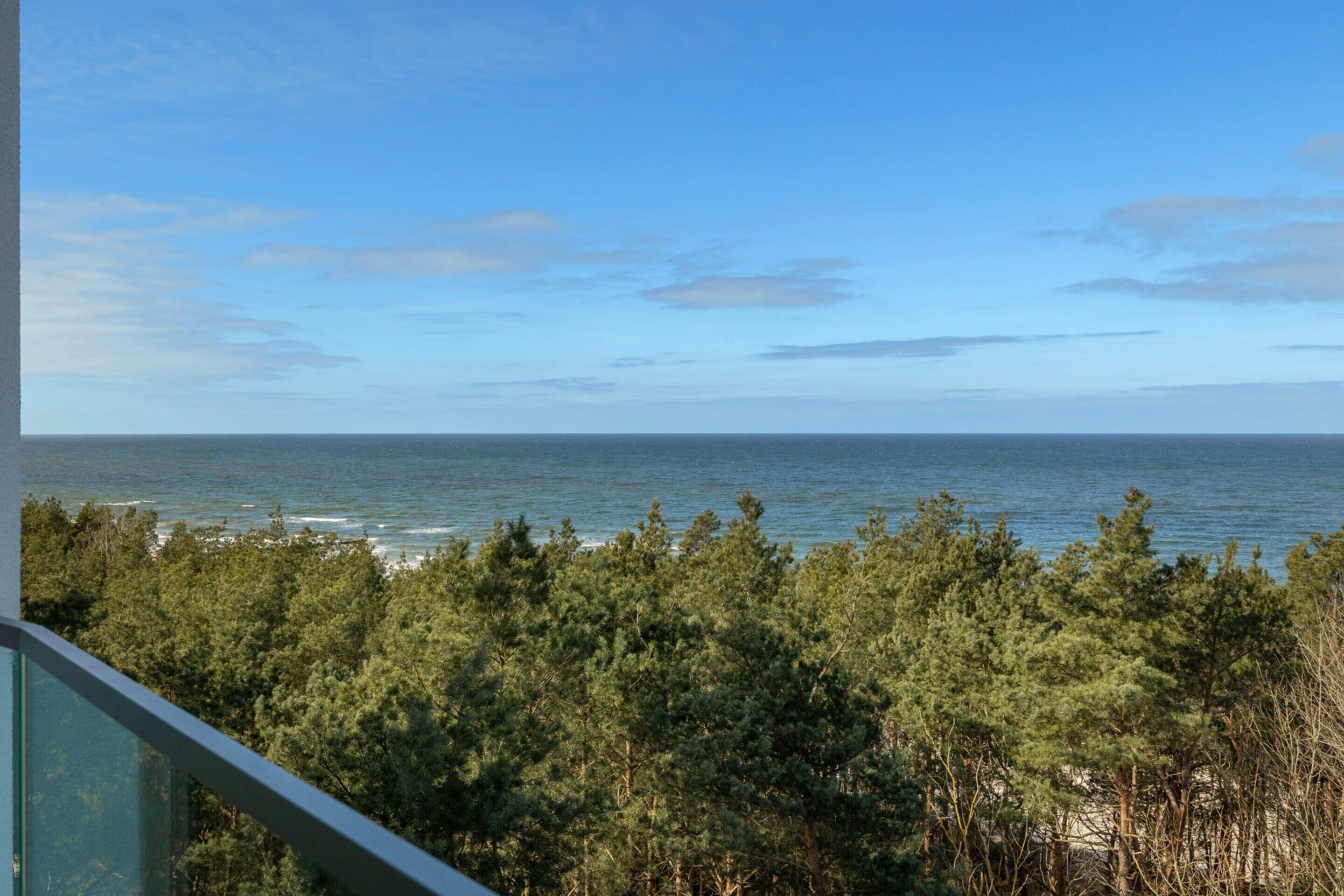 Vista desde la propiedad