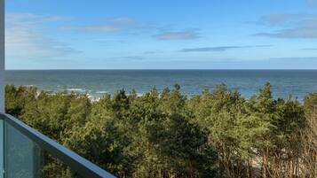 Vista desde la propiedad