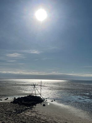 Nära stranden