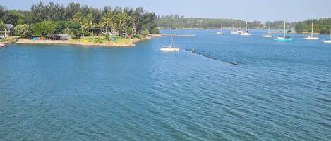 Standard Apartment, Beach View | Terrace/patio