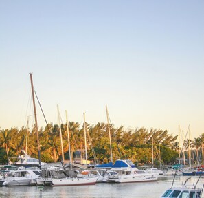 Ảnh chưa phân loại, 3 trong số 8 ảnh, nút