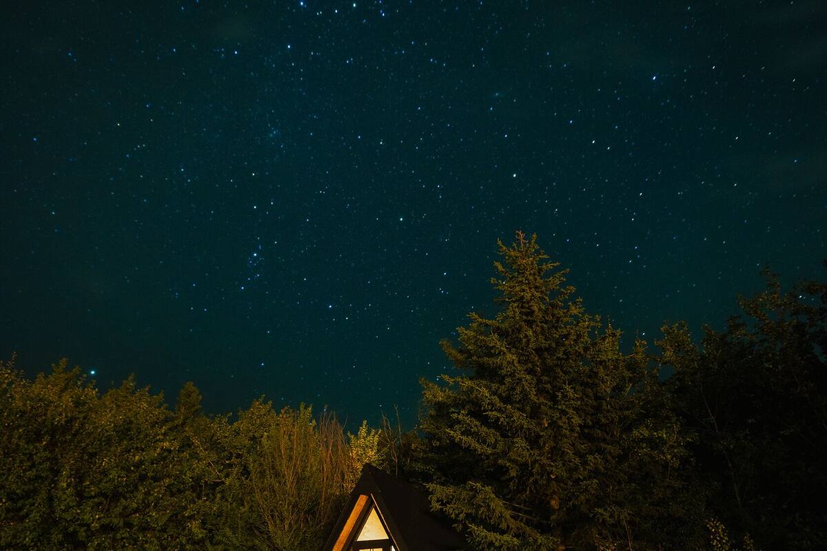 Comfort Cabin, Patio, Resort View