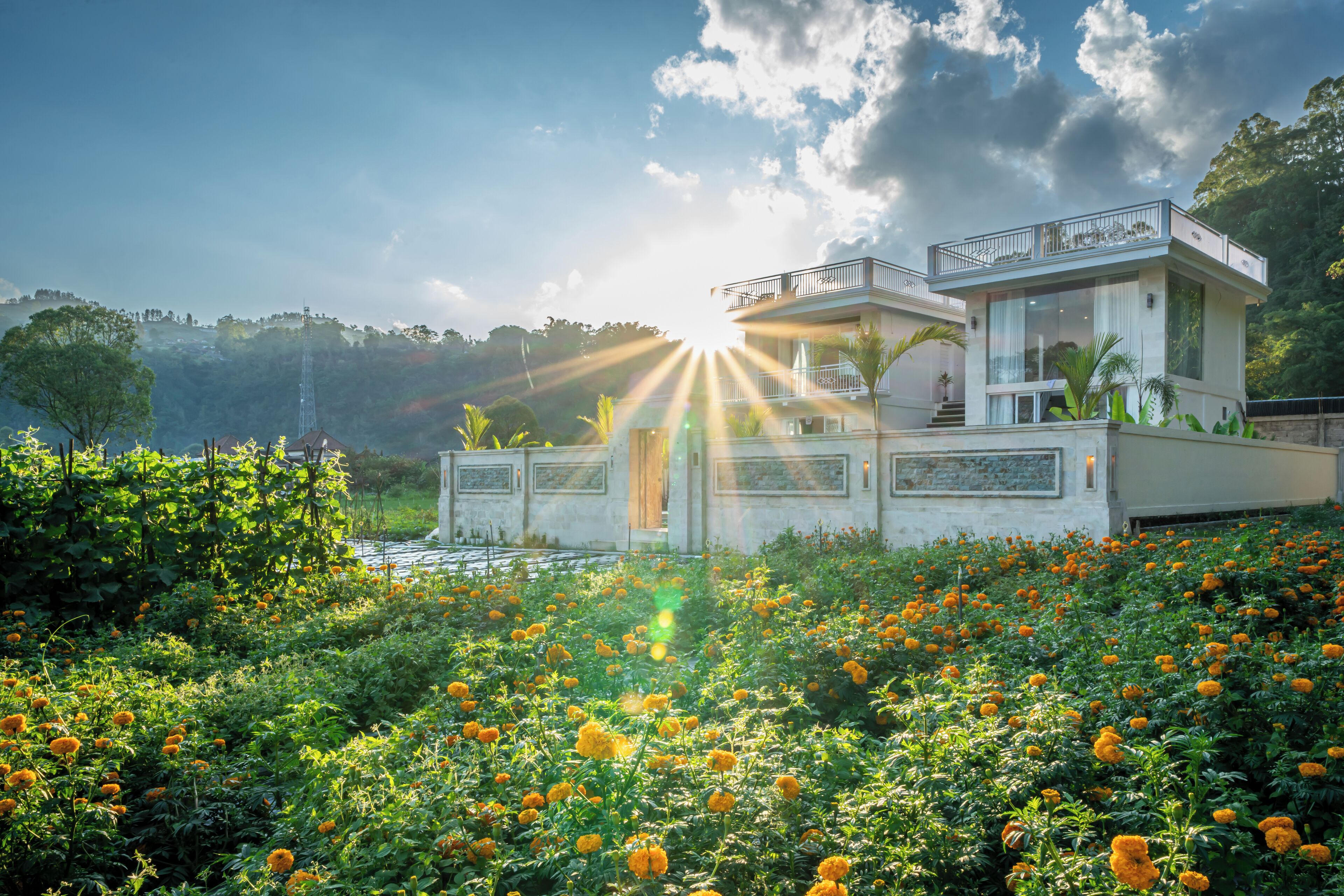 วิวจากมุมสูง