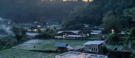 テラス / パティオ