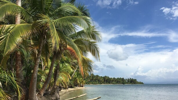 Una playa con palmeras, agua cristalina y una costa lejana.