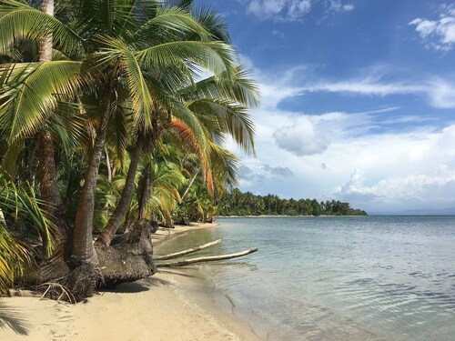 Jungle Bluff Beach Paradise: Nature Cottage Starlink & 2 Min to Beach AC soon