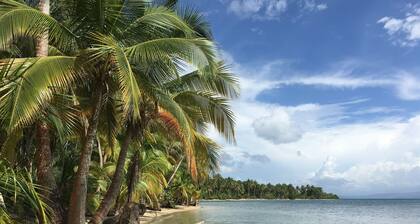 Jungle Bluff Beach Paradise: Nature Cottage Starlink & 2 Min to Beach AC soon