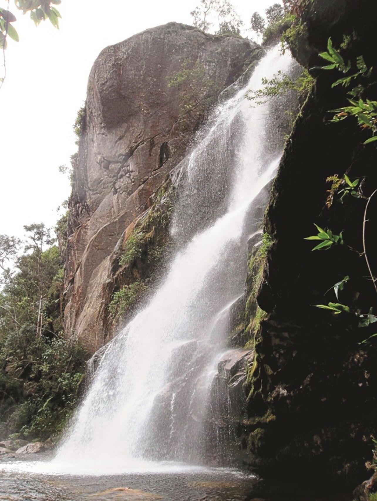 A waterfall cascading down a rocky cliff surrounded by greenery.