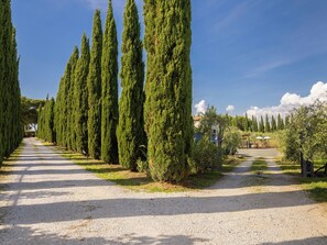Property grounds - Uliveto by Interhome (Cecina)