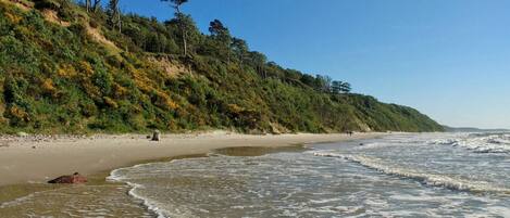 House | View from property