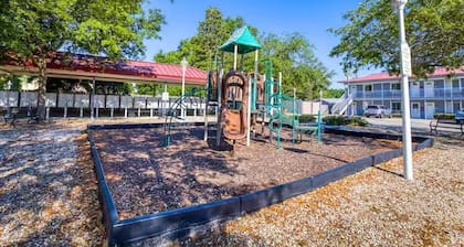 Seashell and Sand Studio