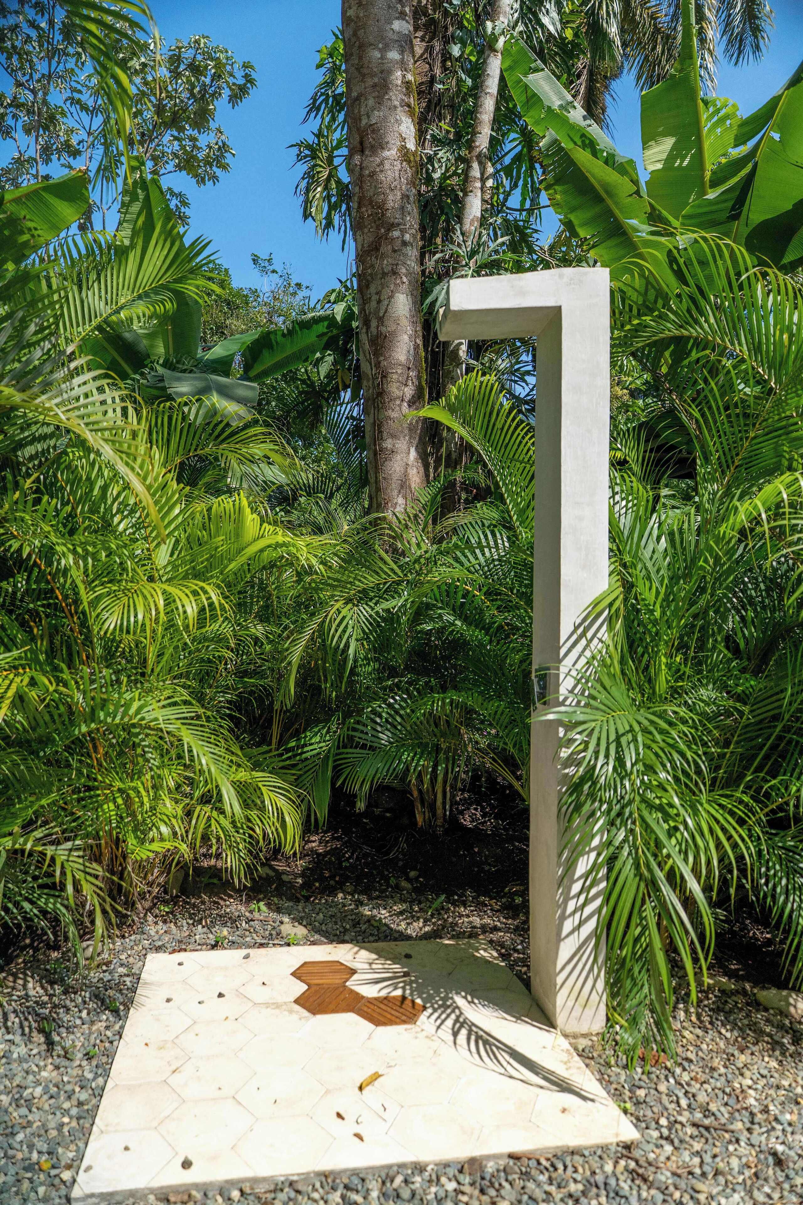 A concrete structure in a lush garden with tropical plants.