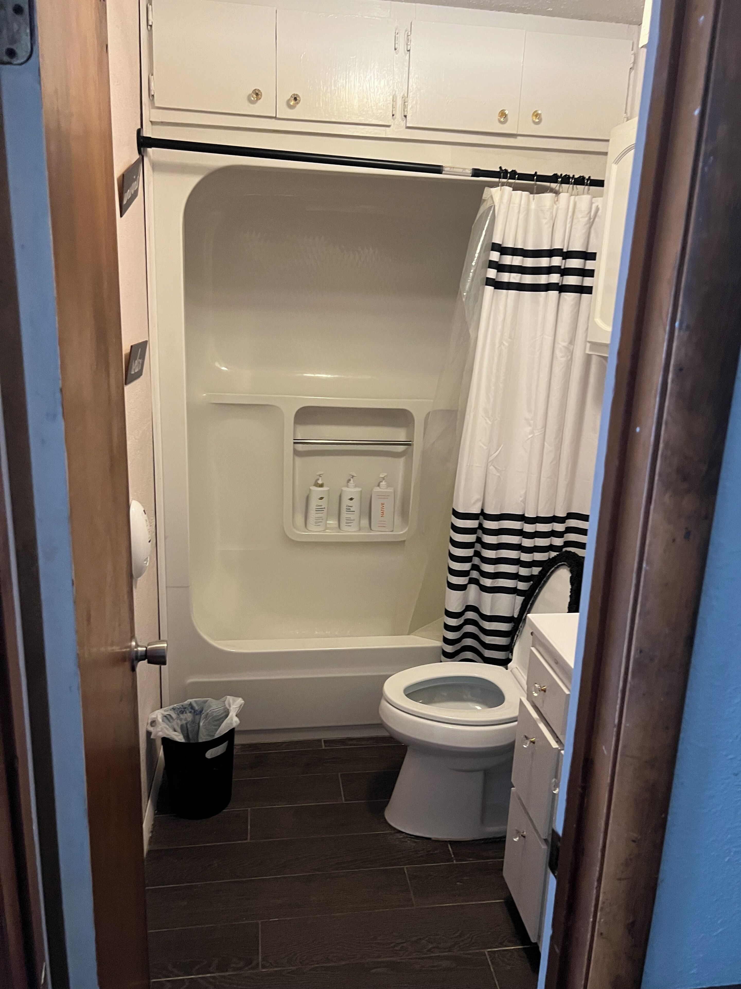 Hair dryer, towels, soap, toilet paper