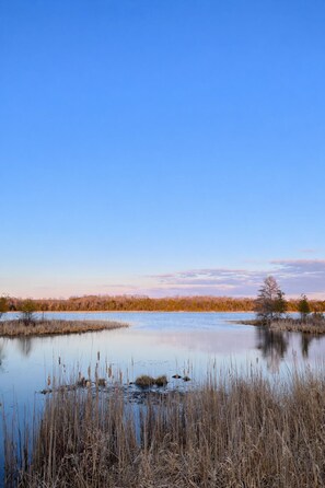 Botón de imagen sin clasificar, 4 de 41