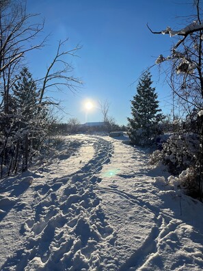 Uklassifisert bilde, 2 av 41, knapp