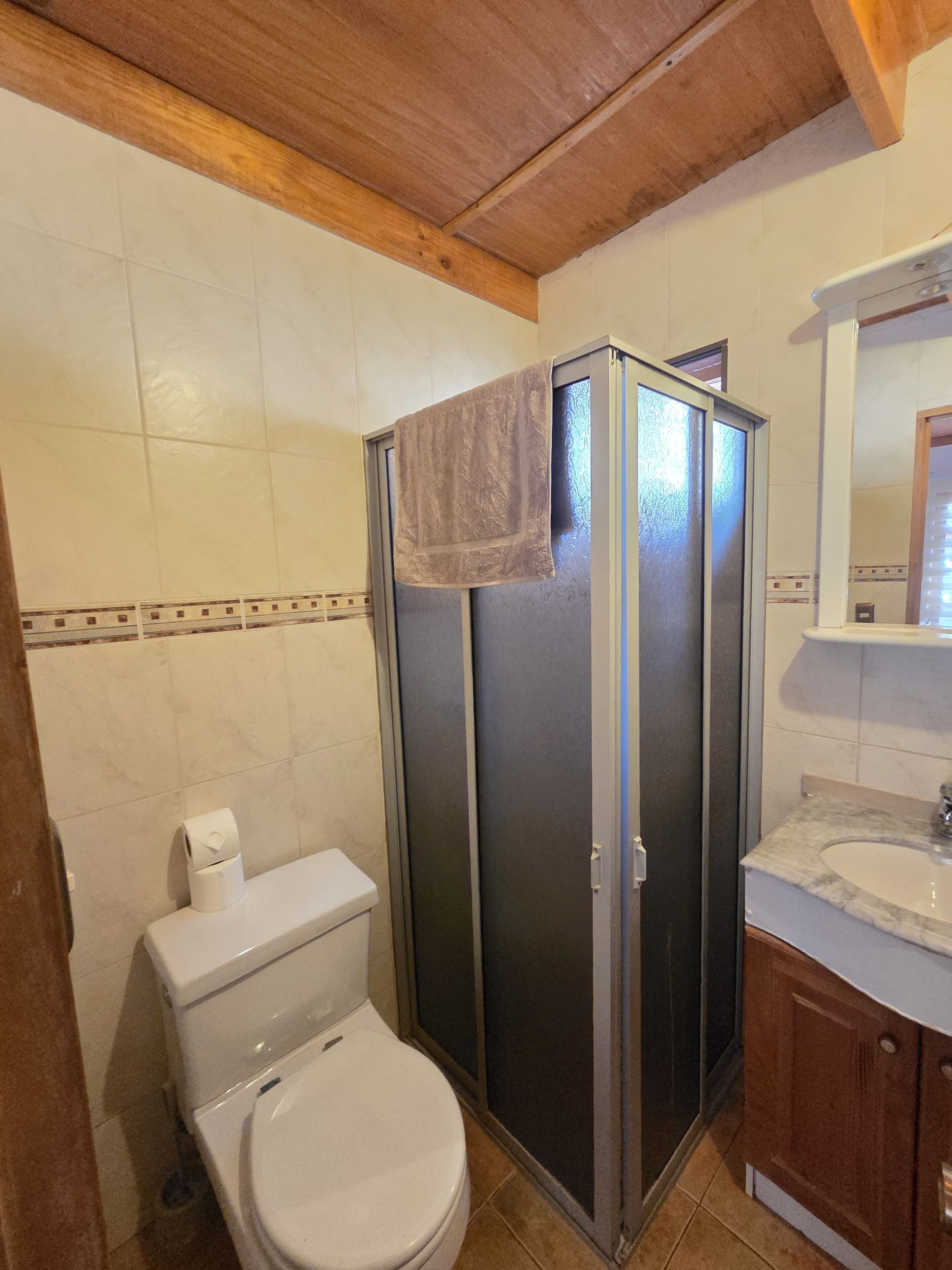 Casa de banho com sanita, cabine de duche e lavatório com espelho.