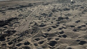 Une plage de sable avec des empreintes et des algues, un ciel dégagé et des bâtiments qui se dessinent à l’horizon.