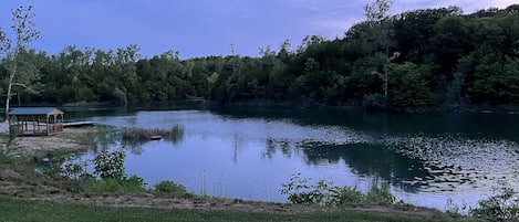 Miscelánea