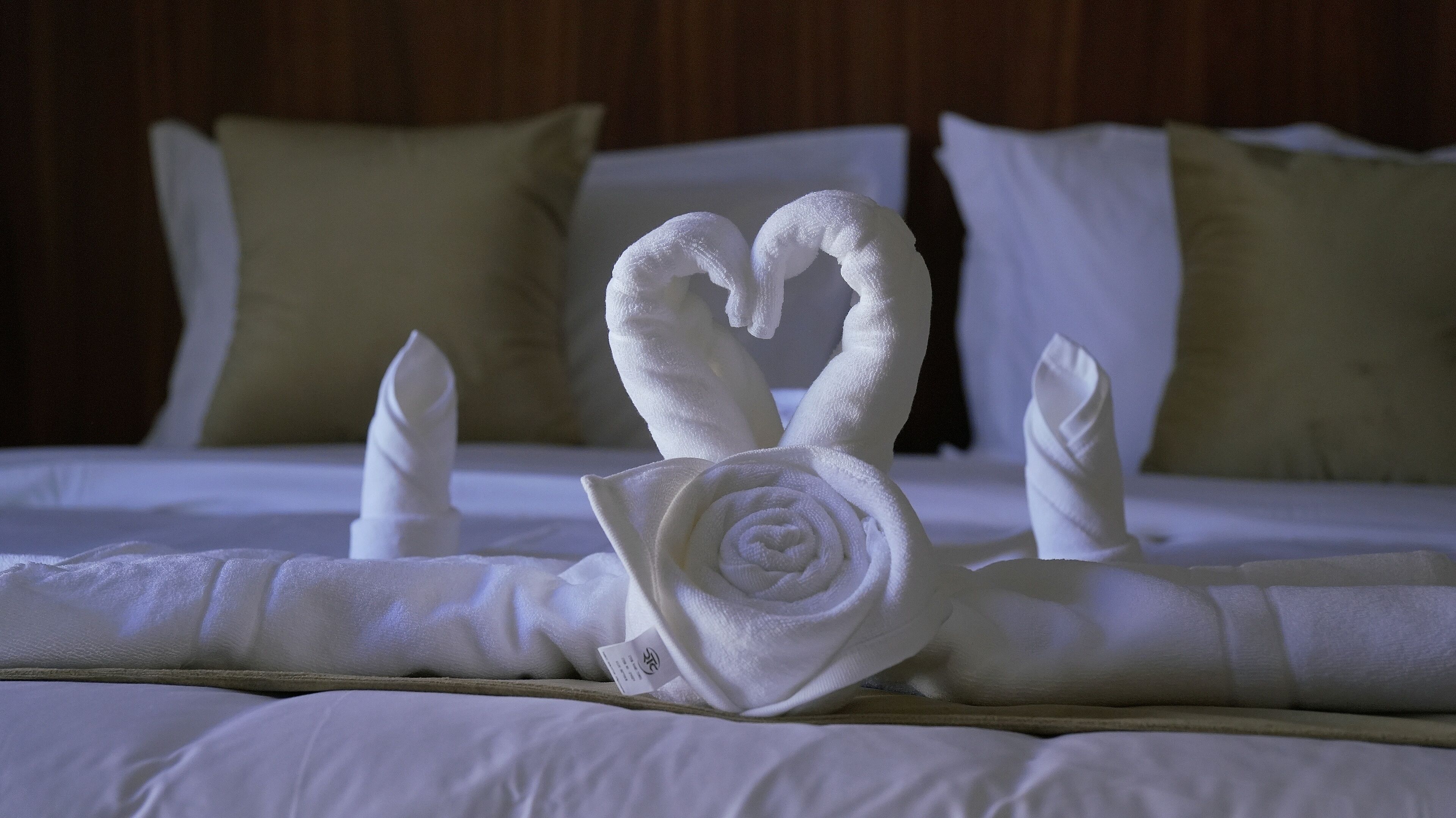 A bed with a towel arranged in the shape of a swan and a rose.