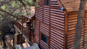 Une cabane en rondins avec un escalier en pierre menant à une terrasse.
