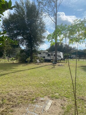 Property grounds - Beautiful, Serene 1-bedroom studio with AC on 5 acre farm Eustis (Eustis)