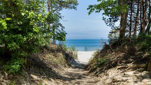 Un sendero arenoso que conduce a una playa, bordeada por una vegetación densa a ambos lados.
