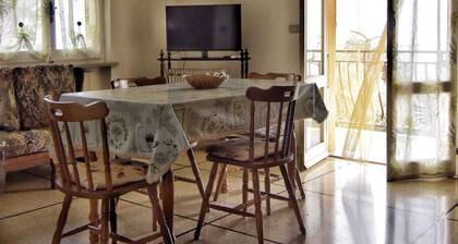 Among the olive trees by Jacinta apartment in the silence of nature beautiful view