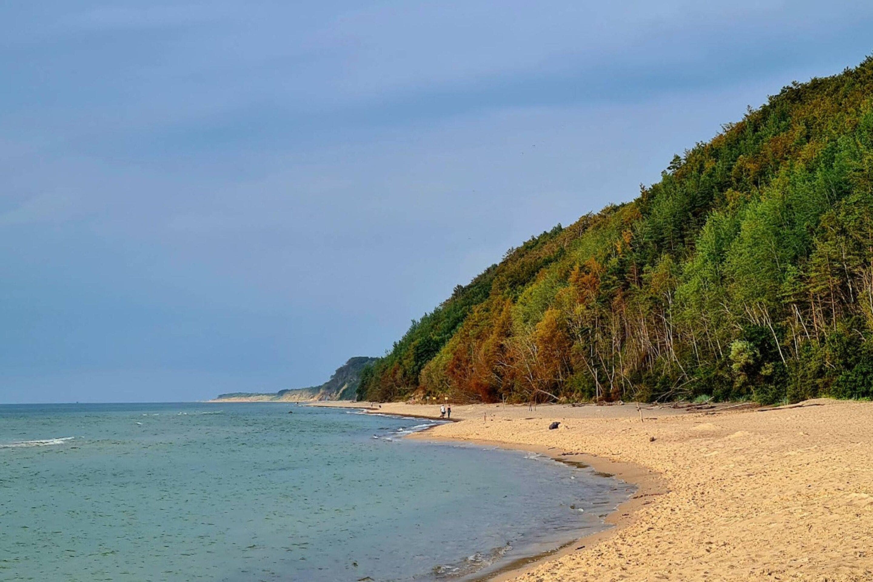Een strand met een beboste heuvel en een rustige zee.