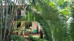 Ảnh chưa phân loại, 3 trong số 64 ảnh, nút