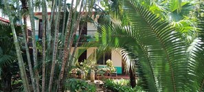 Standard Studio, Patio, Garden View | View from room - Hostal Harvest House (León)