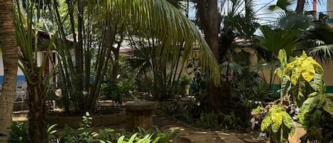 Classic Studio, Courtyard View | View from room