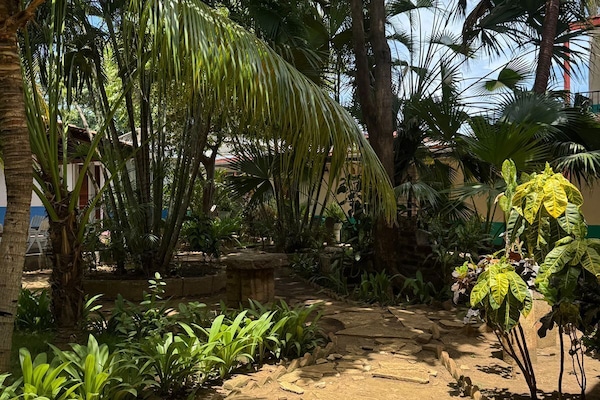 Classic Studio, Courtyard View | View from room